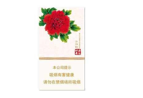 玉州香烟批发价格表大全【玉浽烟价格】
